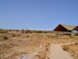 Yacimiento de Villaricos 2012